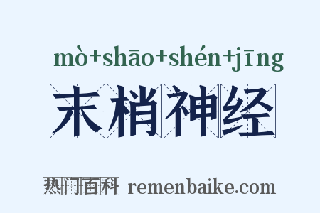 末梢神经是什么意思的图片